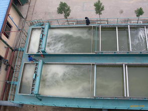 小型污水处理池 供应广东污水处理池质量保证